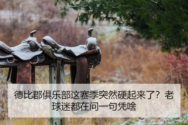 德比郡俱乐部这赛季突然硬起来了？老球迷都在问一句凭啥