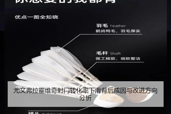 尤文弗拉霍维奇射门转化率下滑背后成因与改进方向分析