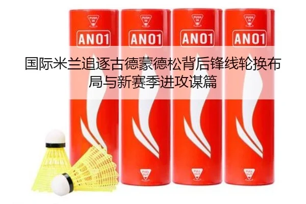 国际米兰追逐古德蒙德松背后锋线轮换布局与新赛季进攻谋篇
