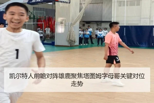 凯尔特人前瞻对阵雄鹿聚焦塔图姆字母哥关键对位走势